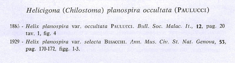 Chilostoma(Campylaea)planospira occultatum (Paulucci, 1886)